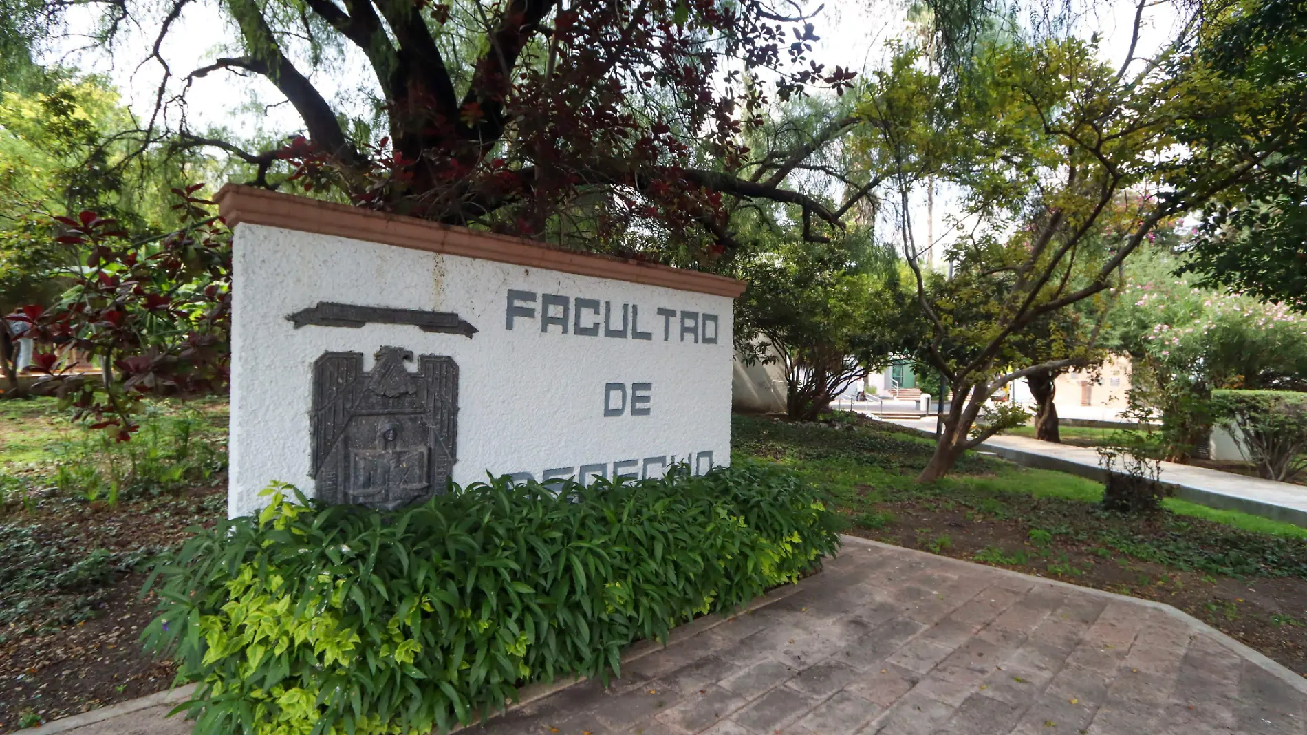 Facultad de derecho